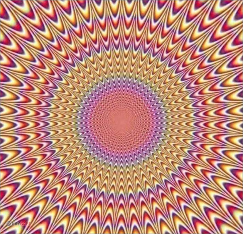 Classic Shop – Phòng Tranh & Cá Cảnh Phước Sang