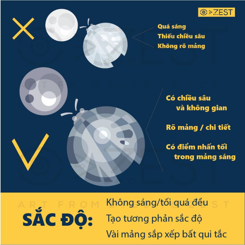 Classic Shop – Phòng Tranh & Cá Cảnh Phước Sang
