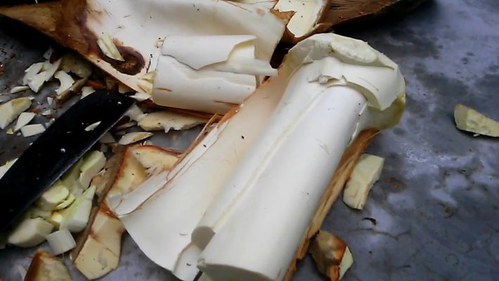 Củ Hủ Dừa (Cổ Hũ Dừa) Là Gì, Bao Nhiêu 1Kg? Cách Bảo Quản Củ Hủ Dừa