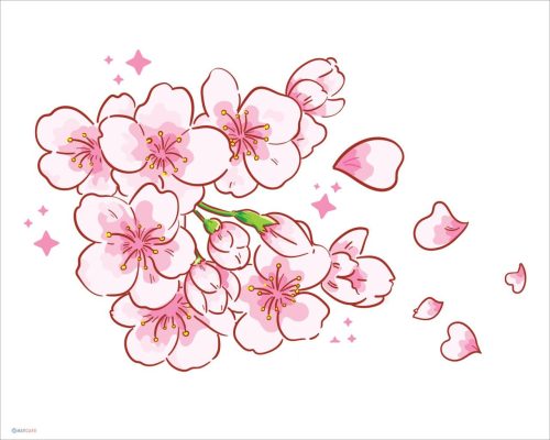 Hình Vẽ Hoa Anh Đào, Cách Vẽ Hoa Anh Đào Đơn Giản
