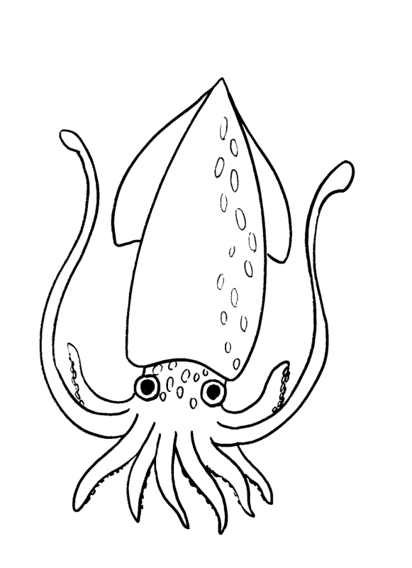 Classic Shop – Phòng Tranh & Cá Cảnh Phước Sang