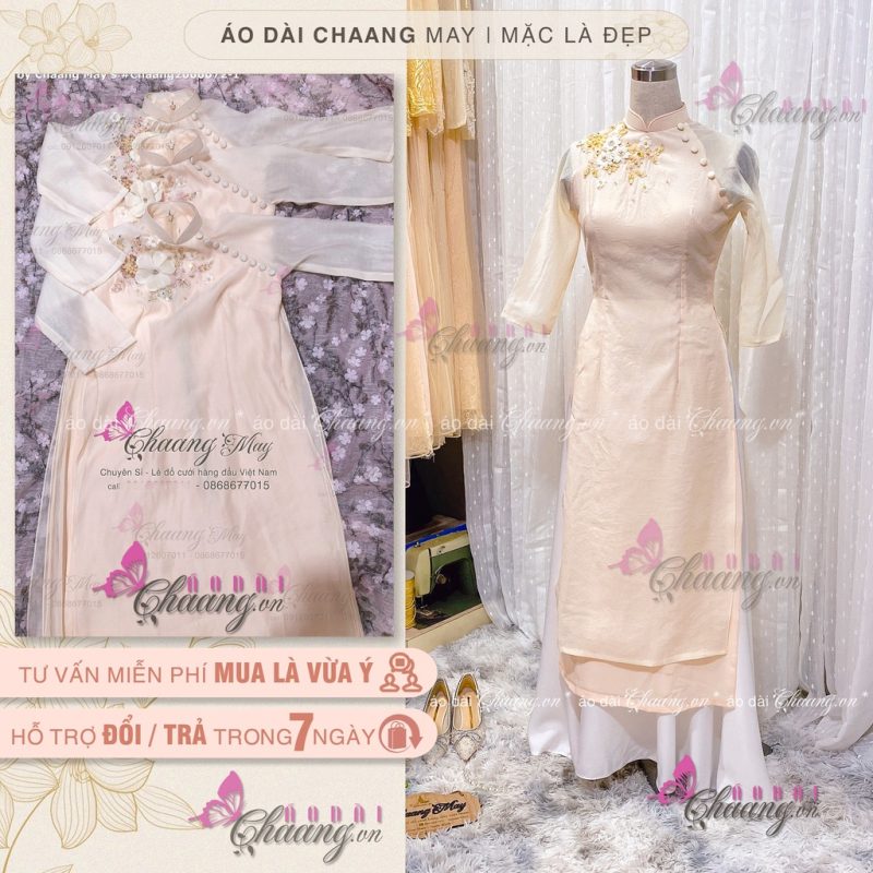 Classic Shop – Phòng Tranh & Cá Cảnh Phước Sang