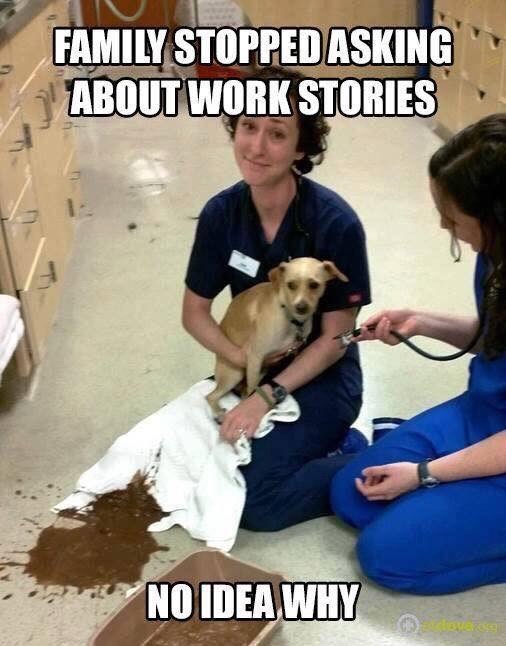 Memes About Being A Vet - I Can Has Cheezburger?