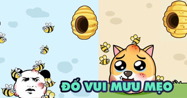Game Đố Vui Mưu Mẹo - Game Vui