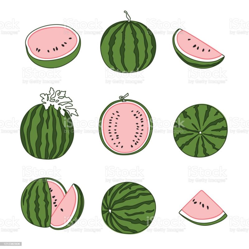 Classic Shop – Phòng Tranh & Cá Cảnh Phước Sang