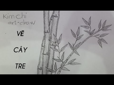 Cách Vẽ Cây Tre Đơn Giản Bằng Bút Chì #9 - How To Draw Bamboo With Pencil |  Kim Chi Art & Draw - Youtube