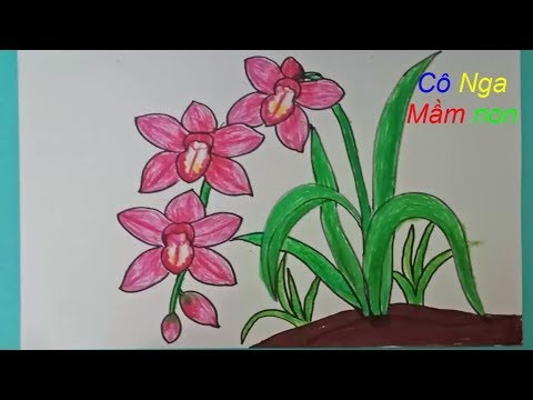 Cách Vẽ Hoa Phong Lan - How To Draw An Orchid: Step By Step Tutorial - Cách  Vẽ Hoa Lan Đơn Giản - Youtube