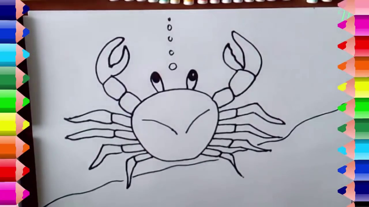 Hướng Dẫn Vẽ Con Cua - Hướng Dẫn Vẽ Con Cua- How To Draw A Crab - Youtube