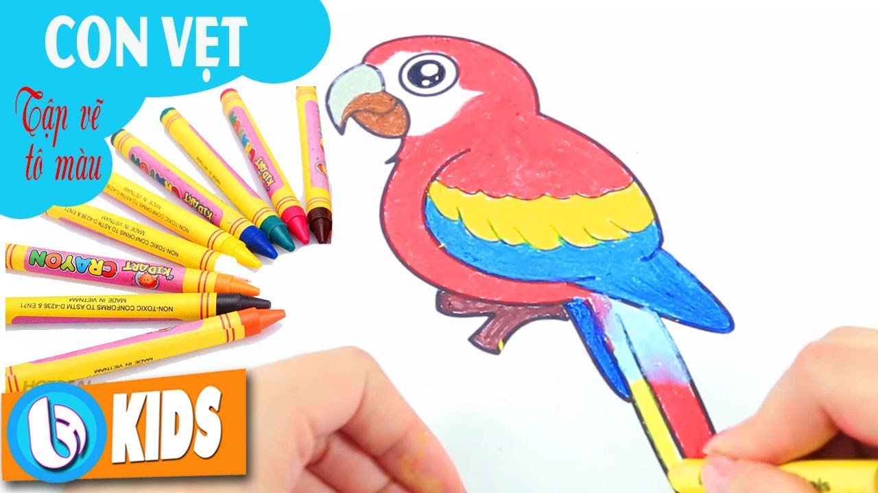 Vẽ Con Vẹt - Vẽ Tranh Tô Màu Cùng Bé | Nhạc Thiếu Nhi Bút Chì Màu - Youtube