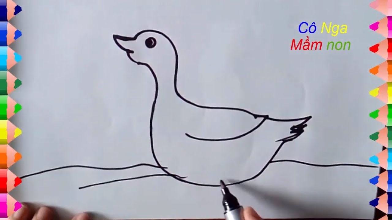 Dạy Vẽ Con Vịt - Hướng Dẫn Vẽ Con Vịt - How To Draw A Duck - Youtube