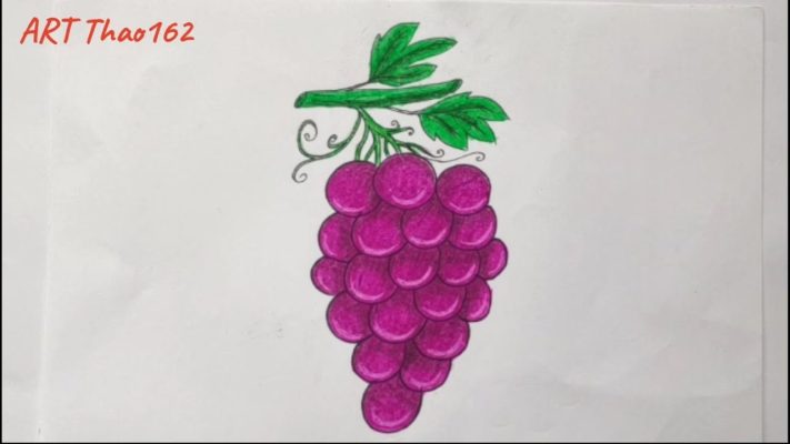Vẽ Chùm Nho Siêu Dễ | How To Draw Grape | Art Thao162 - Youtube