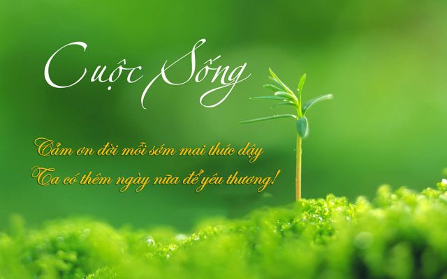 Những Câu Thơ Ngắn Hay Về Cuộc Sống Lạc Quan, Tươi Đẹp - Meta.Vn