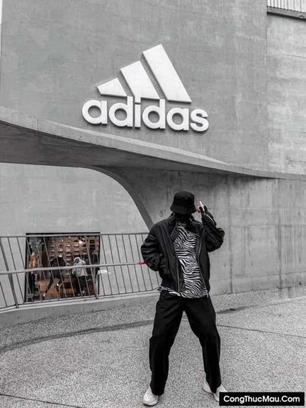 Classic Shop – Phòng Tranh & Cá Cảnh Phước Sang