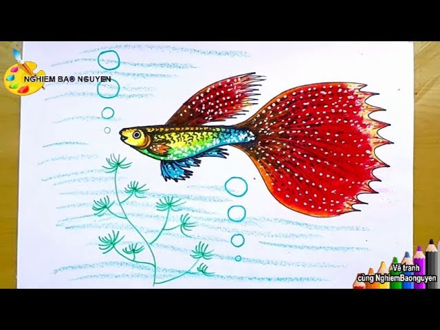 Vẽ Tranh Cá Bảy Màu/How To Draw Guppy Fish - Youtube