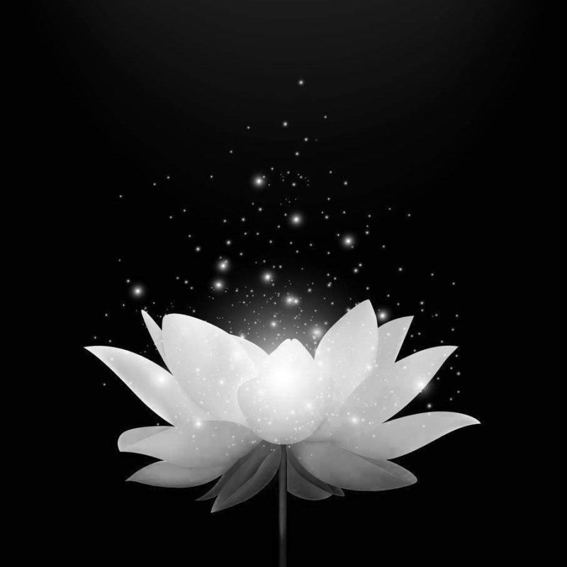 Classic Shop – Phòng Tranh & Cá Cảnh Phước Sang