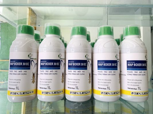 Diệt Mối Phú Mỹ Giá Rẻ - Nhanh Chóng - An Toàn | Diệt Mối Nhanh