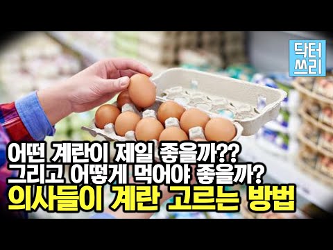 계란을 먹는 최고의 방법 – 어떻게 고르고, 어떻게 먹을까?
