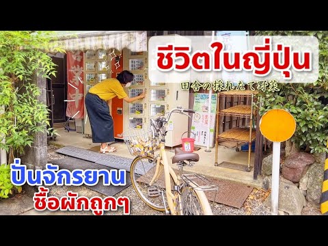 ชีวิตในญี่ปุ่น เกียวโต 🇯🇵 ร้านค้าไม่มีคนเฝ้า อยากได้อะไรเลือกเองเลย  ใช้ใจขาย ชีวิตง่ายๆในญี่ปุ่น