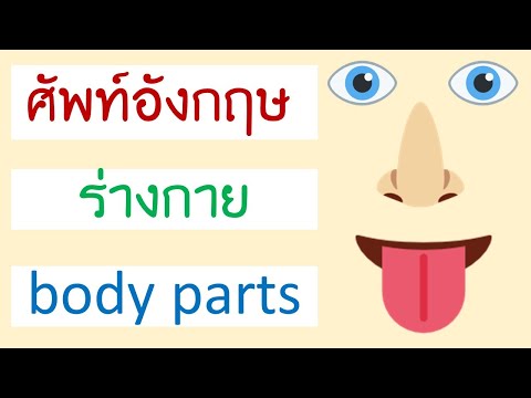 คำศัพท์ ร่างกาย ภาษาอังกฤษ Body parts