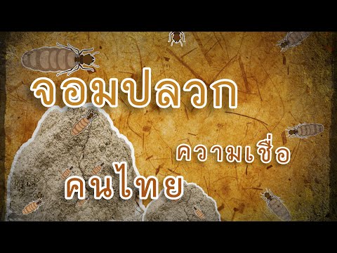 จอมปลวก​ ความเชื่อของคนไทยทุกภาค​ ที่สะท้อนวิถีชีวิตอย่างน่ามหัศจรรย์