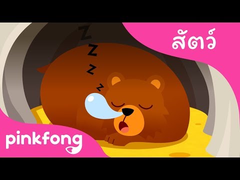 เพลงจำศีล | เพลงสัตว์ | พิ้งฟอง(Pinkfong) เพลงและนิทาน