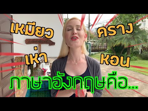 เหมียว คราง เห่า หอน ภาษาอังกฤษคือ...| ครูโรซี่ British English